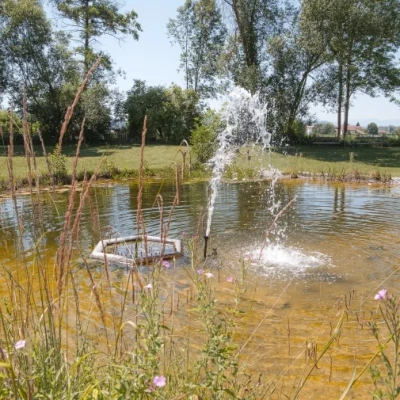Hochzeitslocation Grandhotel Niederösterreichischer Hof in Lanzenkirchen aufgenommen durch Fotograf aus Bezirk Wiener Neustadt