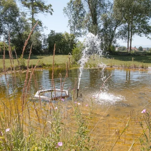 Hochzeitslocation Grandhotel Niederösterreichischer Hof in Lanzenkirchen aufgenommen durch Fotograf aus Bezirk Wiener Neustadt