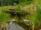 Teich des Refugium Hochstrass abelichtet durch Fotograf Wedding Paradise