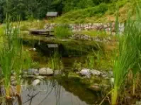 Teich des Refugium Hochstrass abelichtet durch Fotograf Wedding Paradise