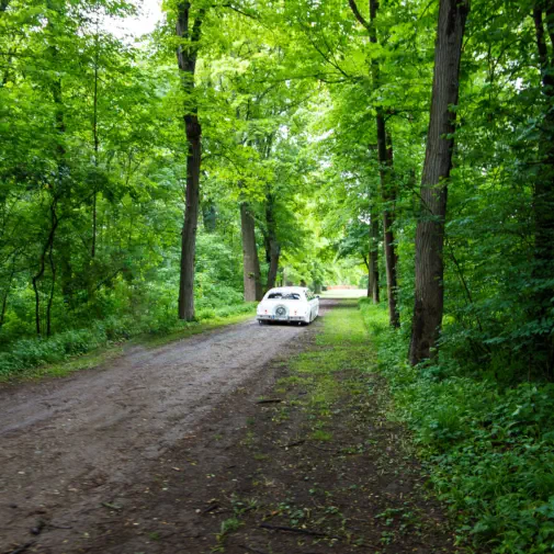 Schlosspark Laxenburg im Bezirk Mödling