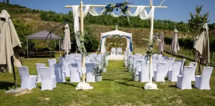 Festwiese Weingut Hermann Moser in Rohrendorf bei Krems dokumentiert durch Fotograf Wedding Paradise aus Niederösterreich