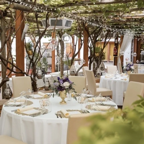 Winzerhotel Weingut Kolleritsch, Fotograf in Tieschen