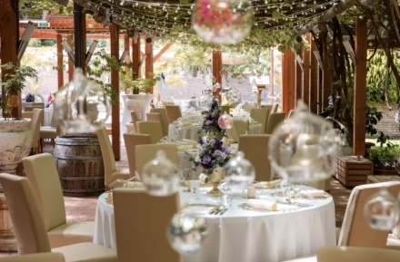 Fotograf in der Steiermark bei Kolleritsch Winzerhotel und Weingut in Tieschen