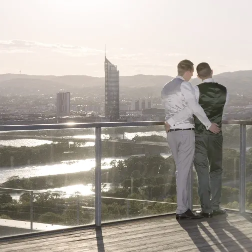 Panoramaaussicht der Wolke 21 in Wien gemacht von Fotograf